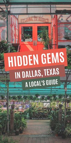 the hidden gems in dallas, texas a local's guide