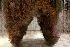 an art installation made out of plants and branches