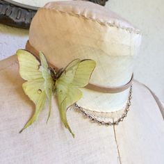 Luna Moth Choker, Luna Moth Necklace, Genuine Taupe Distressed Leather, Crystals Chain, Cotton and Silk Organza, Organza Butterfly Lunar Moth Jewelry, Luna Moth Necklace, Moth Inspired Fashion, Moth Themed Outfit, Luna Moth Outfit, Luna Moth Jewelry, Vintage Necklaces As Summer Gifts, Vintage Necklaces For Summer Gift, Vintage Necklace For Summer Gift