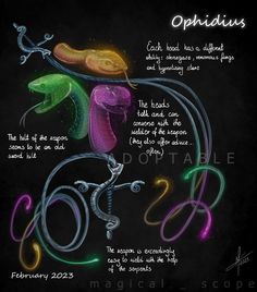 the zodiac sign is depicted in this chalkboard style drawing, which includes an image of a snake and two snakes