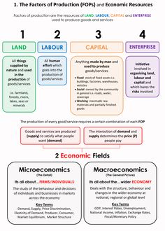 an info sheet describing the different types of economic