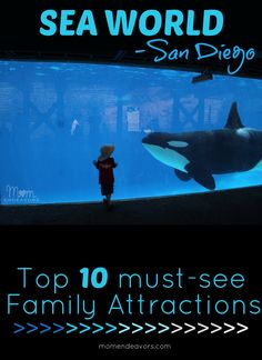 the top 10 must see family attractions in sea world san diego, california with text overlay