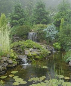 nature forest pond aesthetic cottagecore Leaves In The Wind, Rainy River, Nature Retreat, Pocket Garden, Lily Pond, Portland Maine, Lily, Water, Photography