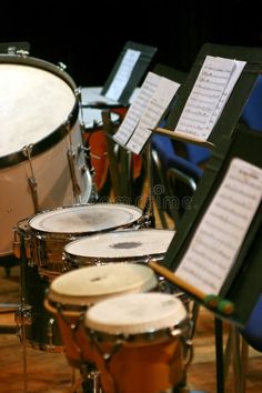 musical instruments are lined up on the floor