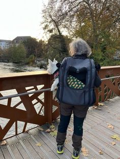 a person with a back pack and a dog on a bridge looking at the water