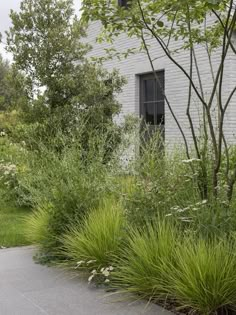 an outdoor area with grass, bushes and trees