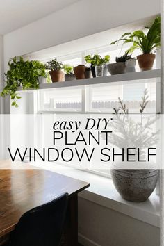 an easy diy plant window shelf with potted plants