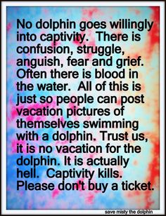 a poem written in black and white on a tie dye background with the words, no dolphin goes wildly into captivity there is confusion