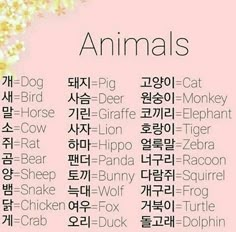 an animal is written in different languages on a pink background with white flowers and black lettering