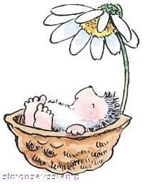 a drawing of a baby sleeping in a basket with a flower on the top and bottom