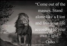 Osho Quotes On Life, Under Your Spell, Osho Quotes, Like A Lion, Standing Alone, Short Inspirational Quotes, Live Your Life