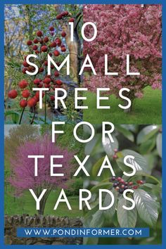 the words, 10 small trees for texas yards are in front of an image of flowers and