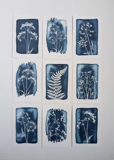 six blue and white pressed images of plants