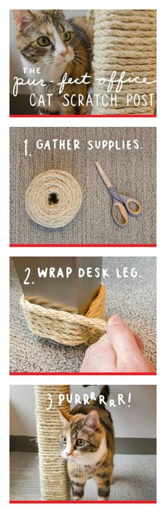 the instructions for how to make a cat scratch post from scratchsticks and yarn