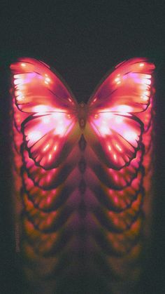 a pink butterfly sitting on top of a piece of paper with lights in it's wings