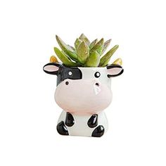 a ceramic cow planter with succulents on it's head and eyes