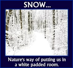 Winter Humor Minnesota Humor, Snoring Humor, Weather Humor, Funny Winter Quotes, Snow Quotes