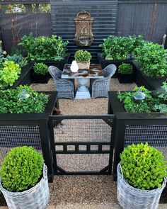 an outdoor garden with potted plants and chairs