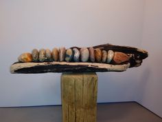 a piece of driftwood with rocks on it sitting in front of a white wall