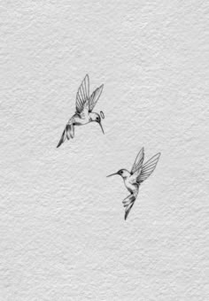 two birds flying in the air next to each other on a white paper background with black ink