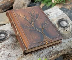 an old book sitting on top of a tree stump