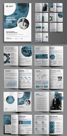 a bunch of brochures with blue and white designs