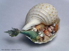 there is a sea shell with shells on it