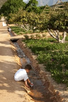 a young boy is playing in the water at the edge of a dirt road with trees and bushes behind him