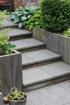 the steps are made of concrete and have plants growing on them