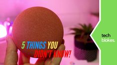 a person holding up an egg with the words 5 things you don't know