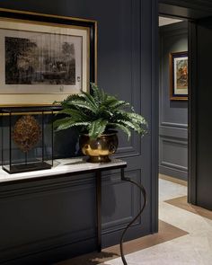 a potted plant sitting on top of a table in front of a framed painting