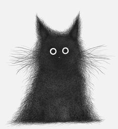 a black cat with big eyes and long hair on it's back, sitting in front of a white background