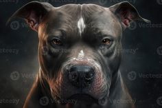 a close up of a dog's face on a dark background