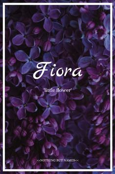 purple flowers with the words fiora written in white on top and bottom, surrounded by blue