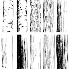 six different types of trees that have been drawn by hand