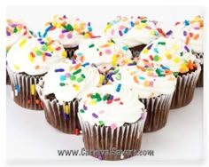 chocolate cupcakes with white frosting and sprinkles on each one