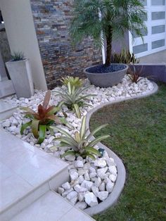 a small garden with rocks and plants in the front yard, next to a house