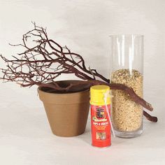 some plants are next to a vase with dried branches in it