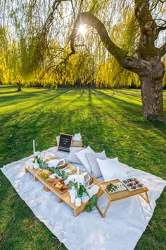 Luxury picnic setup for two featuring a delicious charcuterie board, caprese salad skewers, smoked salmon sandwiches, and chocolate covered strawberries. Outdoor Picnic Setup Ideas, Country Picnic Aesthetic, Backyard Celebration Ideas, Picnic Theme Ideas For Adults, Outdoor Picnic Date Ideas, Red Luxury Picnic Setup, Romantic Picnic Decor Ideas, Backyard Picnic Ideas Romantic, Picnic For 2 Ideas