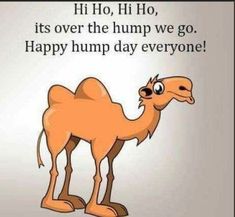 a cartoon camel with the caption hi hoo, it's over the hump we go happy hump day everyone