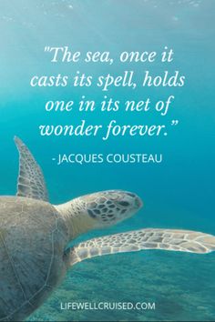 the sea, once it casts its spell, holds one in its net of wonder