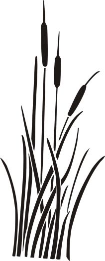 black and white reeds on the water with grass in the foreground, against a white background