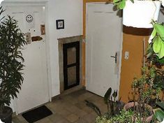 an open door leading to another room with potted plants on either side and a doorway in the middle