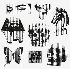 six black and white images of skulls