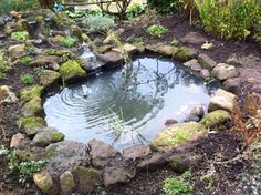 a pond surrounded by rocks and plants in the middle of a garden with water running through it