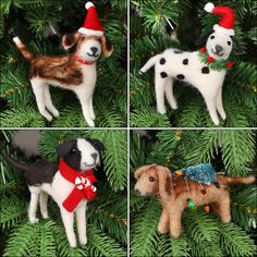 four different pictures of dogs wearing christmas hats and scarfs on a tree with pine needles