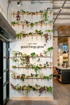 a wall with plants growing on it and the words let the good things grow above them