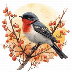 a bird sitting on top of a tree branch with red berries in front of it