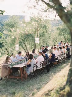 a group of people sitting at long tables in an apple orchard, with trees and mountains in the background