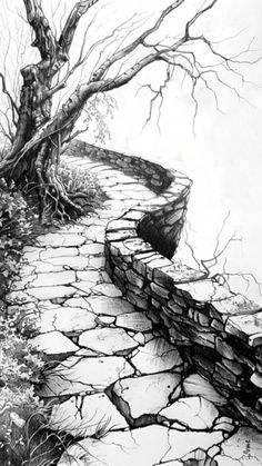 a black and white drawing of a stone path leading to a tree with no leaves